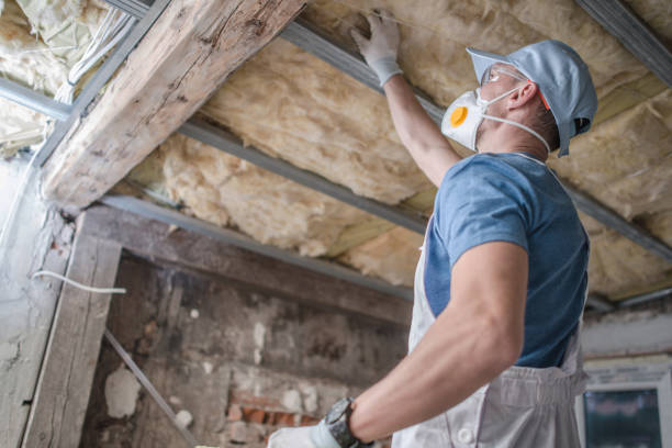 Best Specialty Insulation in South Hill, VA