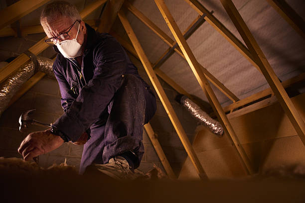  South Hill, VA Insulation Contractor Pros